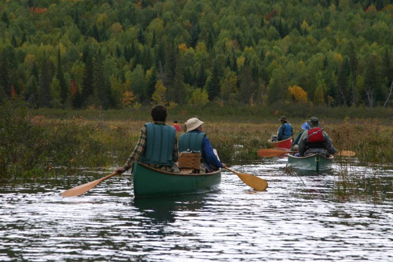 guests paddling guided canoe trip
