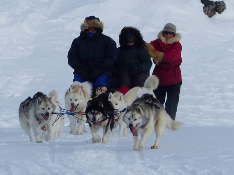 Inuit dogs cultural education trip
