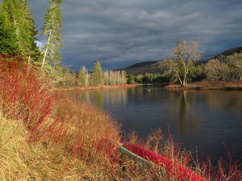 Allagash Canoe Trip in Maine Mahoosuc Guide Service