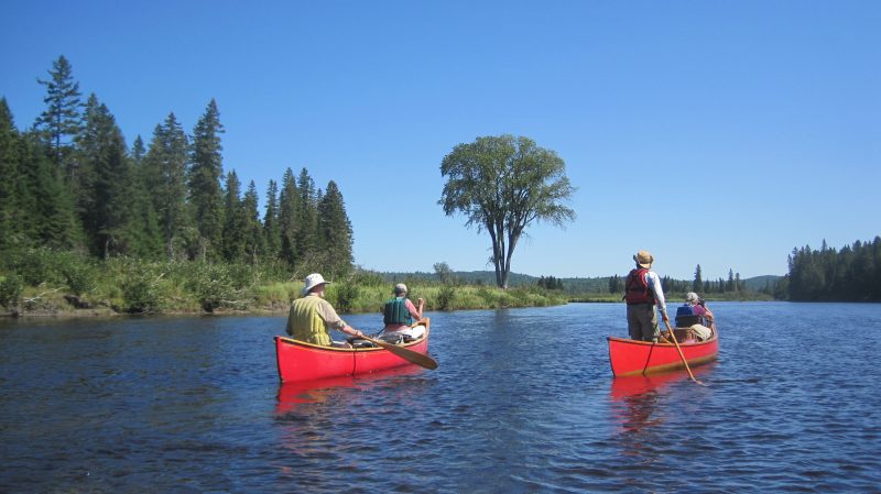 Allagash River Canoe Trips polly