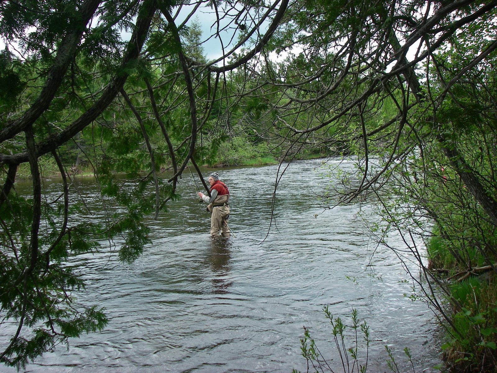 Fly Fishing on the Aroostook River in Maine Mahoosuc Guide Service
