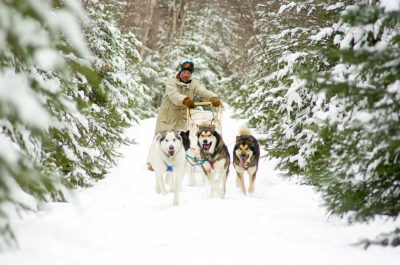 Dog-Sledding-Mahoosuc-Intro-Mahoosuc-Guide-Service-Newry-Bethel-Maine-New-England-Canada-1-scaled