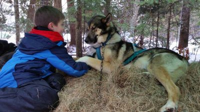 Dog-Sledding-Mahoosuc-Intro-Mahoosuc-Guide-Service-Newry-Bethel-Maine-New-England-Canada-14-scaled