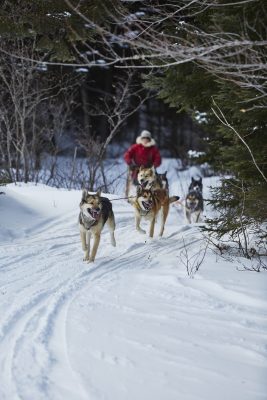 Dog-Sledding-Umbagog-Lake-Mahoosuc-Guide-Service-Newry-Bethel-Maine-New-England-Canada-5-scaled