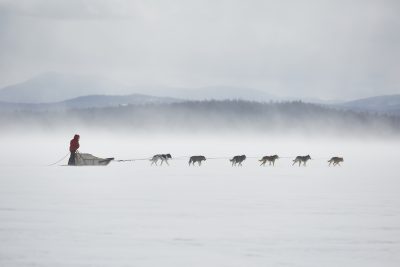 Dog-Sledding-Umbagog-Lake-Mahoosuc-Guide-Service-Newry-Bethel-Maine-New-England-Canada-6-scaled