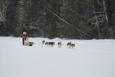 Dog-Sledding-Umbagog-Lake-Mahoosuc-Guide-Service-Newry-Bethel-Maine-New-England-Canada-7-scaled