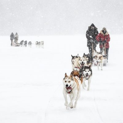 Dog-Sledding-trips-Mahoosuc-Guide-Service-Newry-Bethel-Maine-New-England-Canada-11