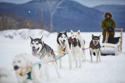 Dog-Sledding-trips-Mahoosuc-Guide-Service-Newry-Bethel-Maine-New-England-Canada-12