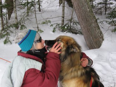 Dog-Sledding-trips-Mahoosuc-Guide-Service-Newry-Bethel-Maine-New-England-Canada-13-scaled