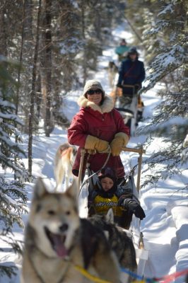 Dog-Sledding-trips-Mahoosuc-Guide-Service-Newry-Bethel-Maine-New-England-Canada-7-scaled
