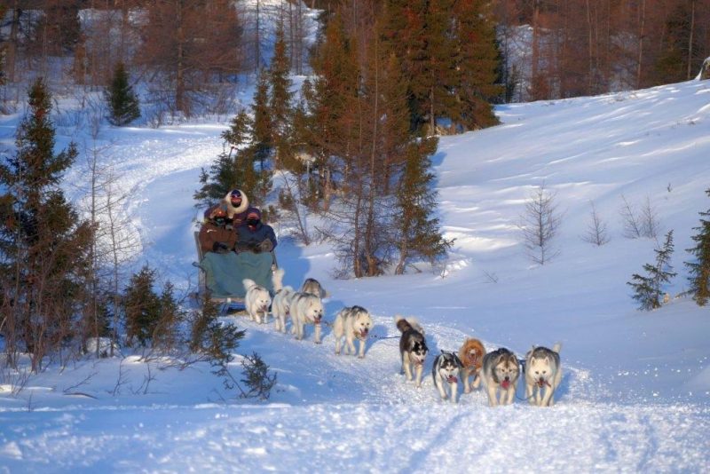 Dog-Sledding-with-the-Inuit-Mahoosuc-Guide-Service-Newry-Bethel-Maine-New-England-Canada-11