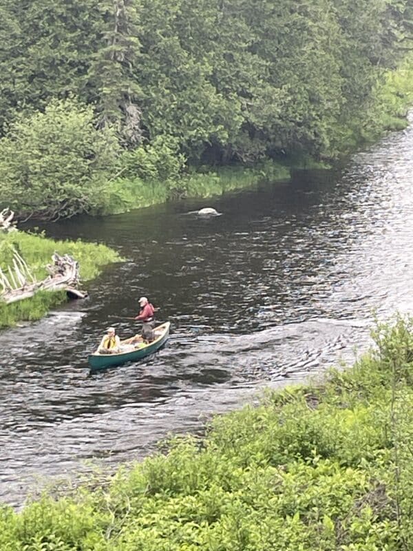 Fly Fishing for Land Locked Salmon