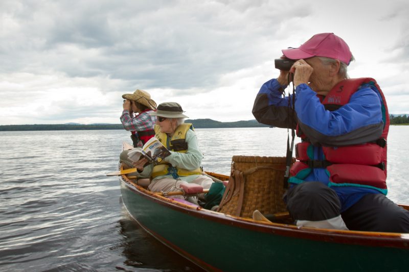Wildlife Watching Canoe trip Maine Mahoosuc Guide Service