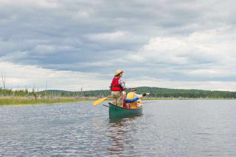 Wildlife-Watching-Canoe-trip-Maine-Mahoosuc-Guide-Service-9-scaled