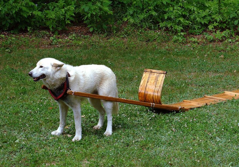 Workshop dog sled construction Mahoosuc Guide Service