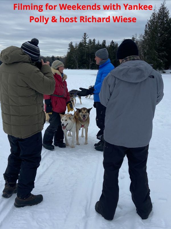 dog sledding in the new year 2022 mahoosuc guide service