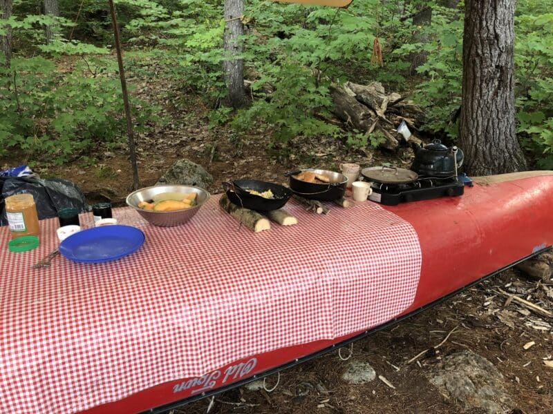 Picnic table in the woods